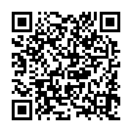 QR code for ZZL395