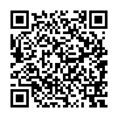 QR code for ZZN3996