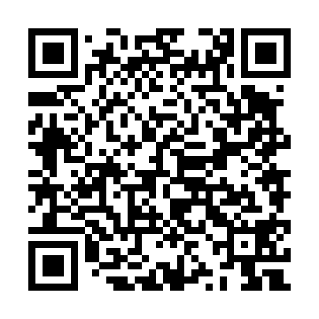 QR code for ZZN418