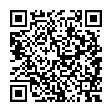 QR code for ZZN6868