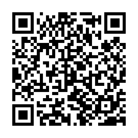 QR code for ZZO415