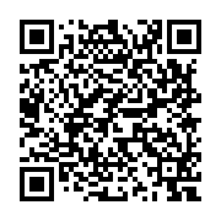 QR code for ZZQ992