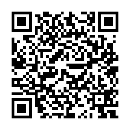 QR code for ZZS3195