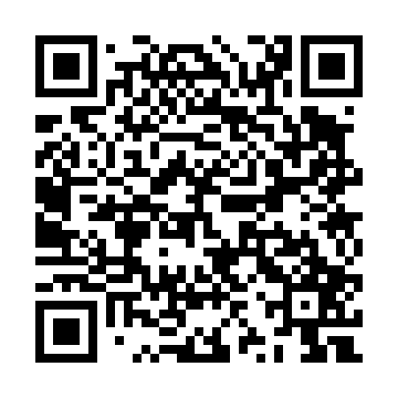 QR code for ZZS407