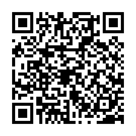 QR code for ZZT0004