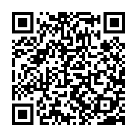 QR code for ZZT009