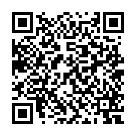 QR code for 0AO745T