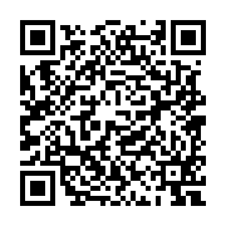 QR code for 0AP595U