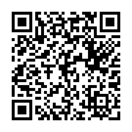 QR code for 0BT390F