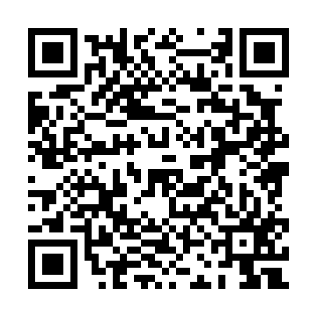 QR code for 0CH017S