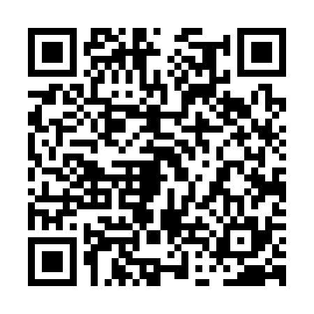 QR code for 0DD335T