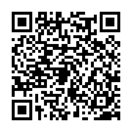 QR code for 0DL065T