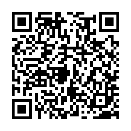 QR code for 0DN383S