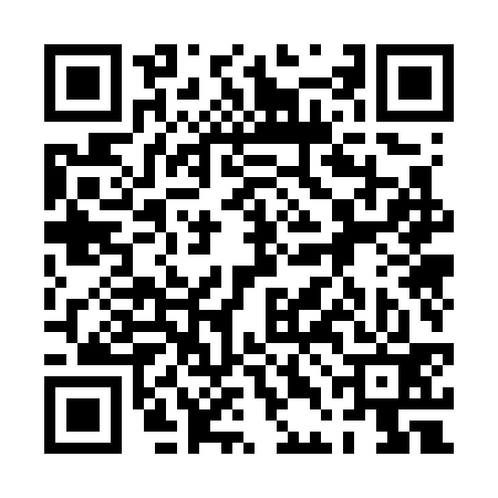 QR code for 0DO733P