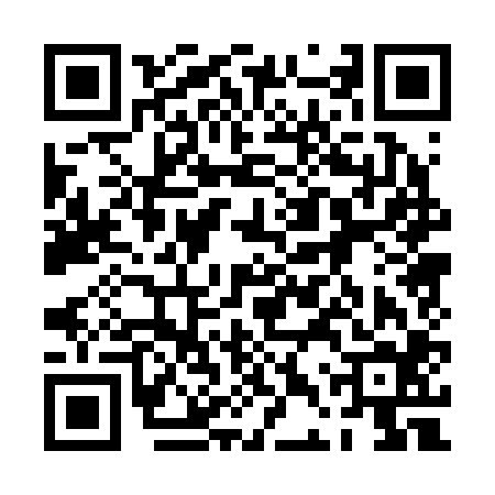 QR code for 0DP204E