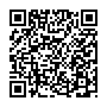 QR code for 0DT419X