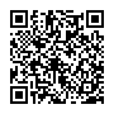 QR code for 0FT381X