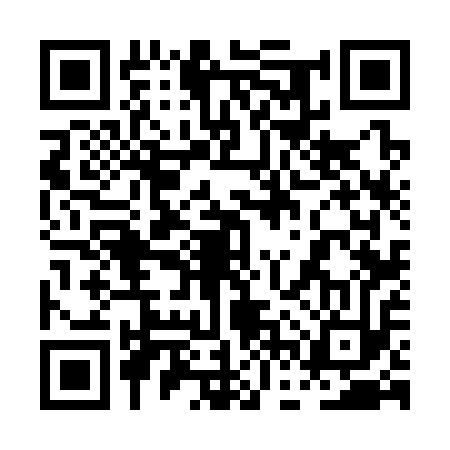 QR code for 0FV313S