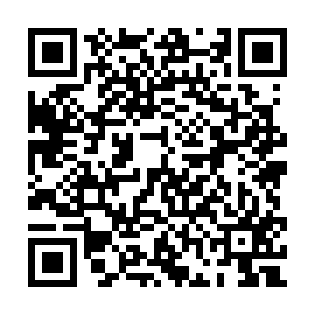 QR code for 0GM317Y