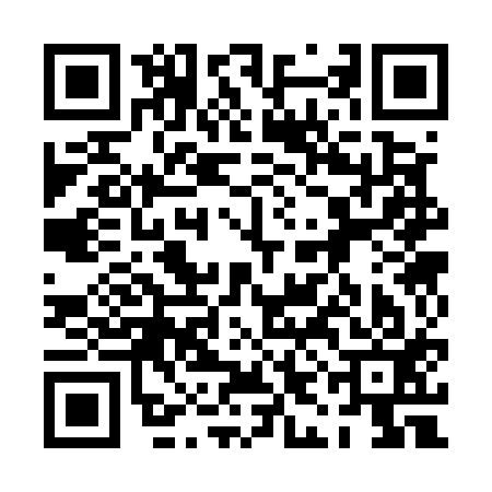 QR code for 0IC513M