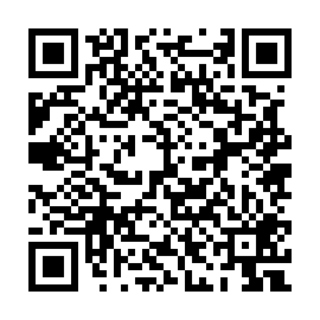 QR code for 0IJ509Q