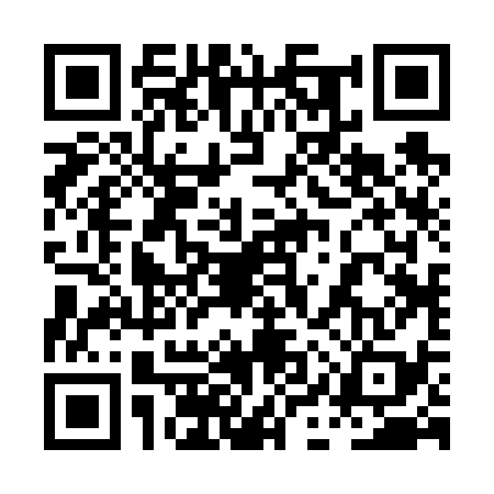 QR code for 0IR638Z