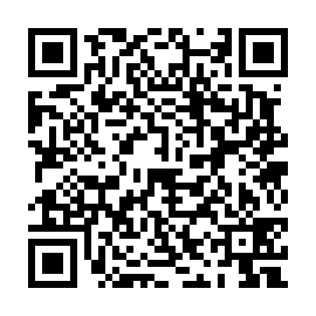 QR code for 0IS439E