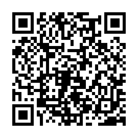 QR code for 0JN193Z