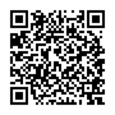 QR code for 0KN208H