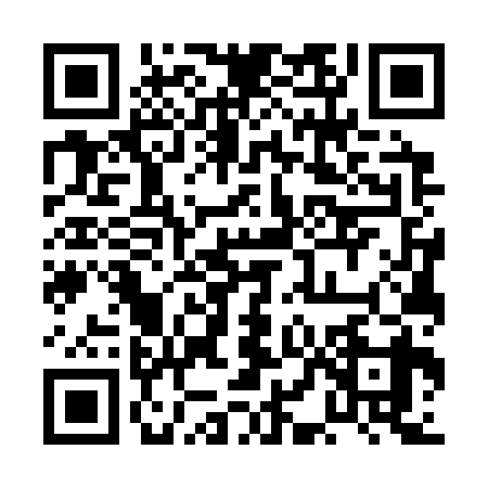 QR code for 0LG339E