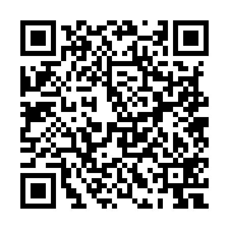 QR code for 0LR919L