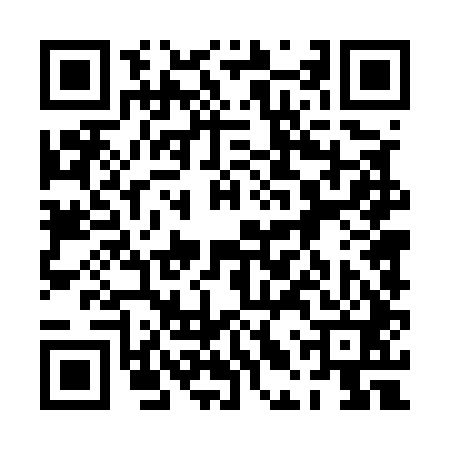 QR code for 0LT541X