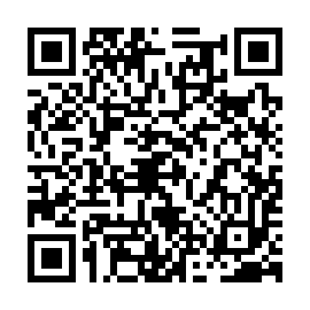 QR code for 0NQ393U
