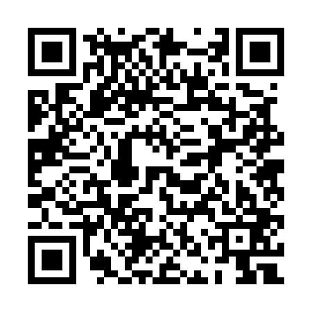 QR code for 0NR503H