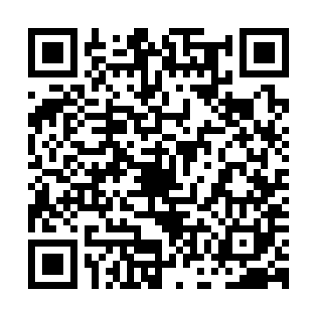 QR code for 0OG381G