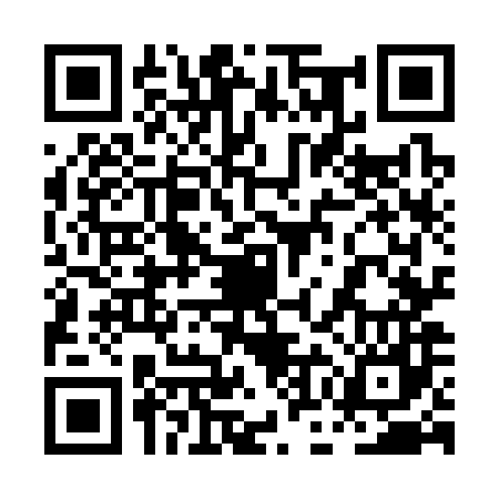QR code for 0OO387I