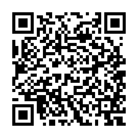 QR code for 0OR384B