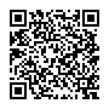 QR code for 0PA411Y