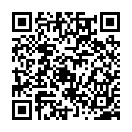 QR code for 0PG217D