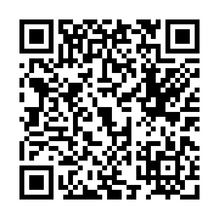QR code for 0PJ389G