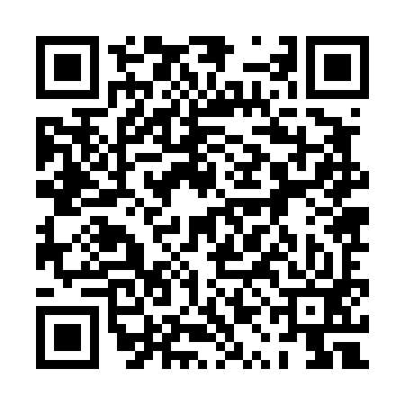 QR code for 0QJ493X