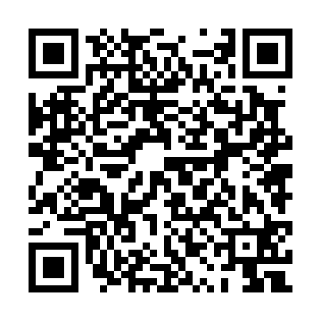 QR code for 0QN020G