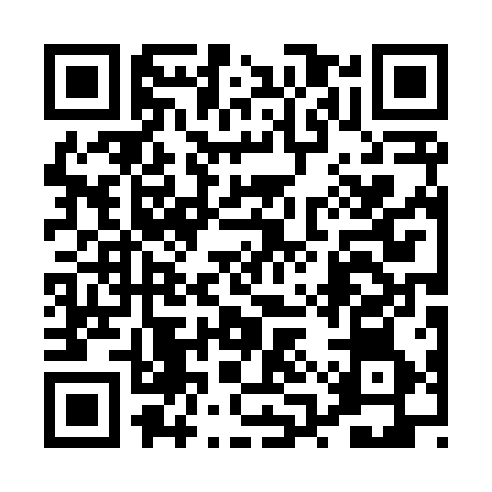 QR code for 0QP816Q