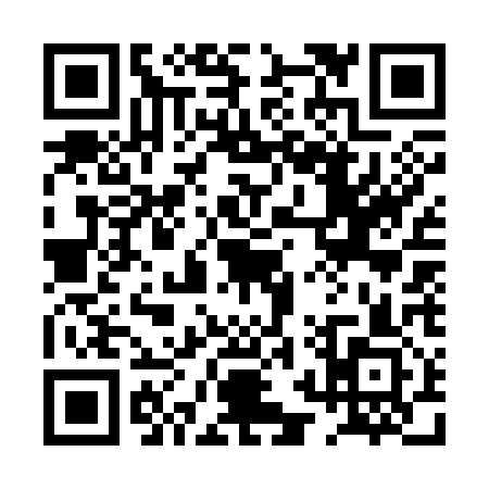 QR code for 0RW313R