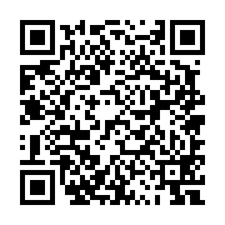 QR code for 0SE499T