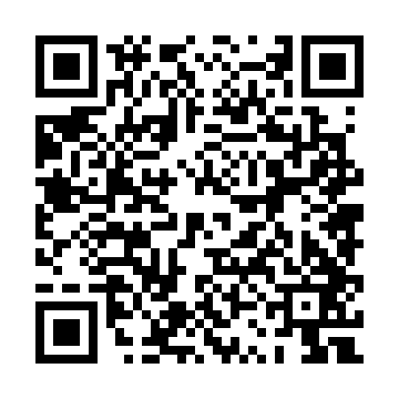 QR code for 0SN343M