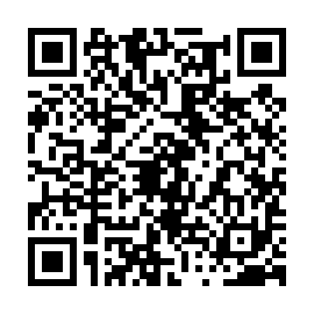 QR code for 0TI491S