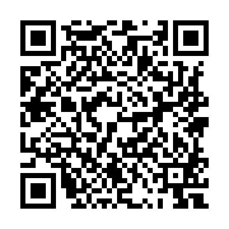 QR code for 0VI981E