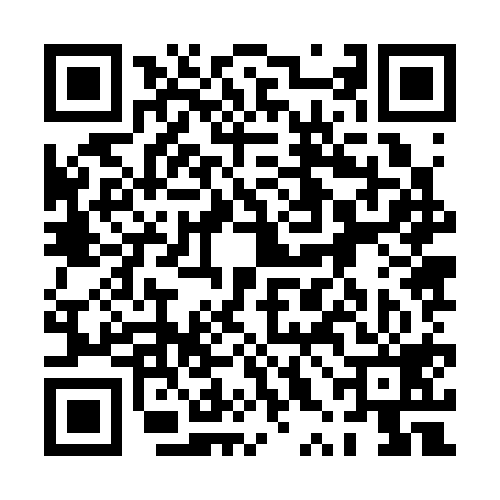 QR code for 0XJ319S