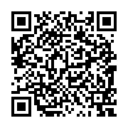 QR code for 0XL293L